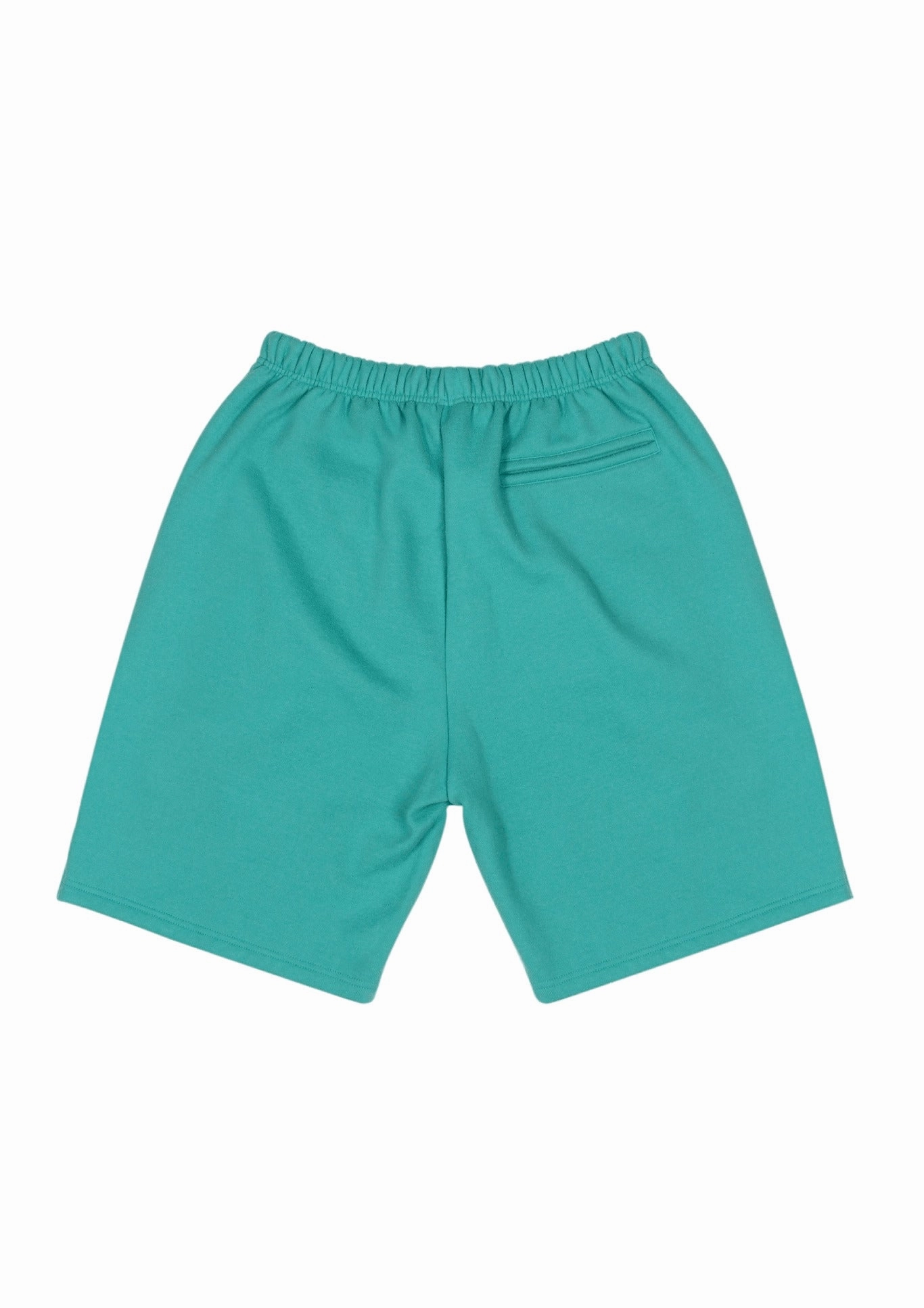 104357-382 | WILLY GYM SHORTS | DOLPHIN GREEN