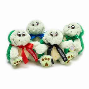 8 Plush Turtles