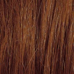 Gwen by Amore | Human Hair Wig | CLOSEOUT
