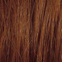 Gwen by Amore | Human Hair Wig | CLOSEOUT