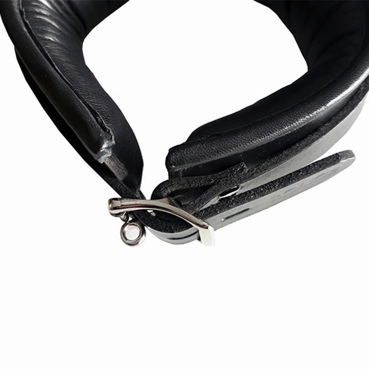 Rouge Leather 3 D-Ring Padded Collar