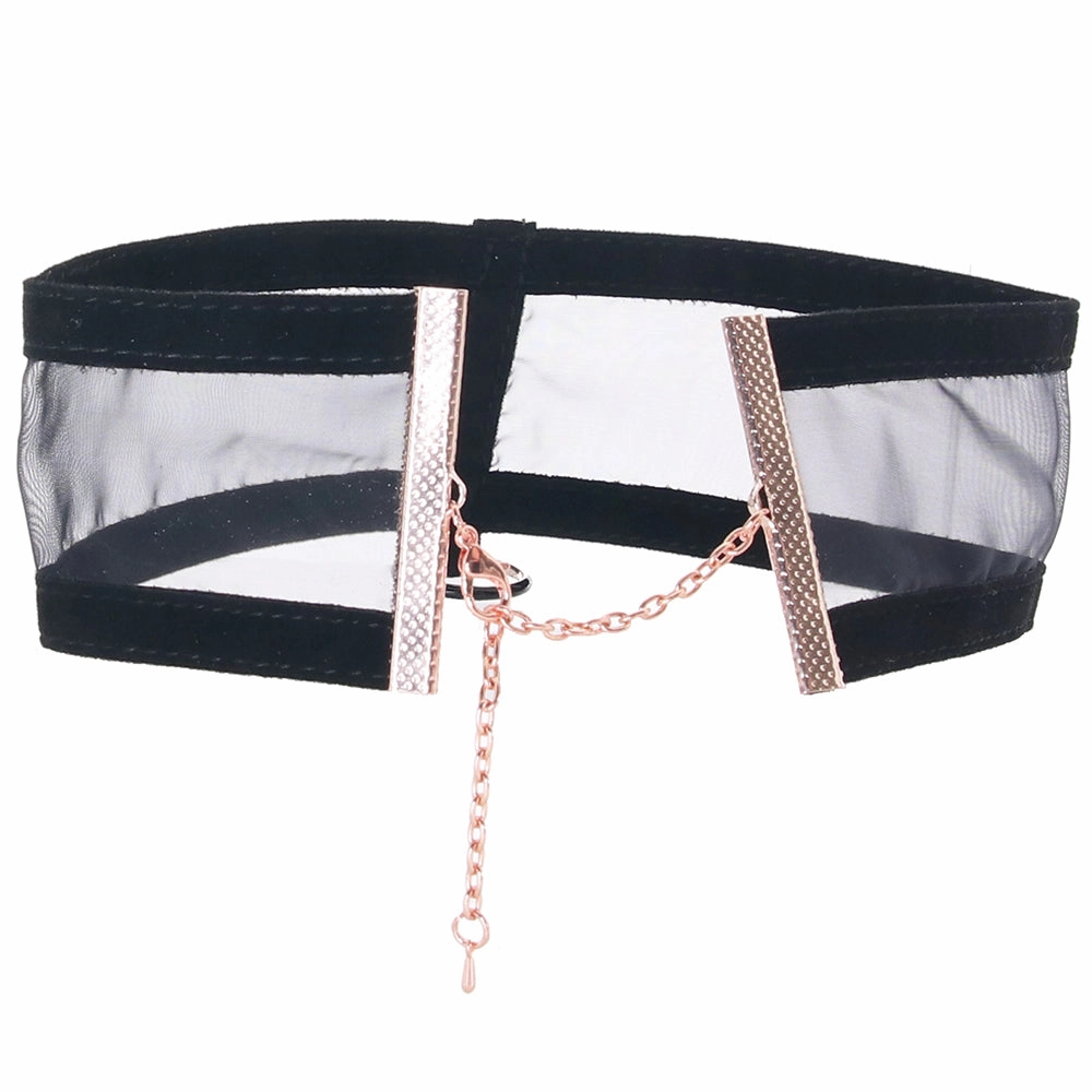 Sex & Mischief Sheer Day Collar