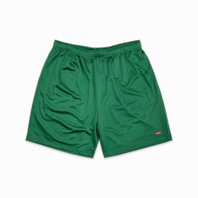 Small Box Logo Mesh Shorts Green
