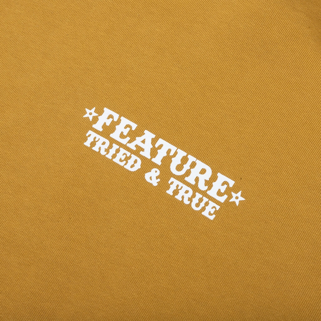 Tried and True Hoodie - Wood Thrush