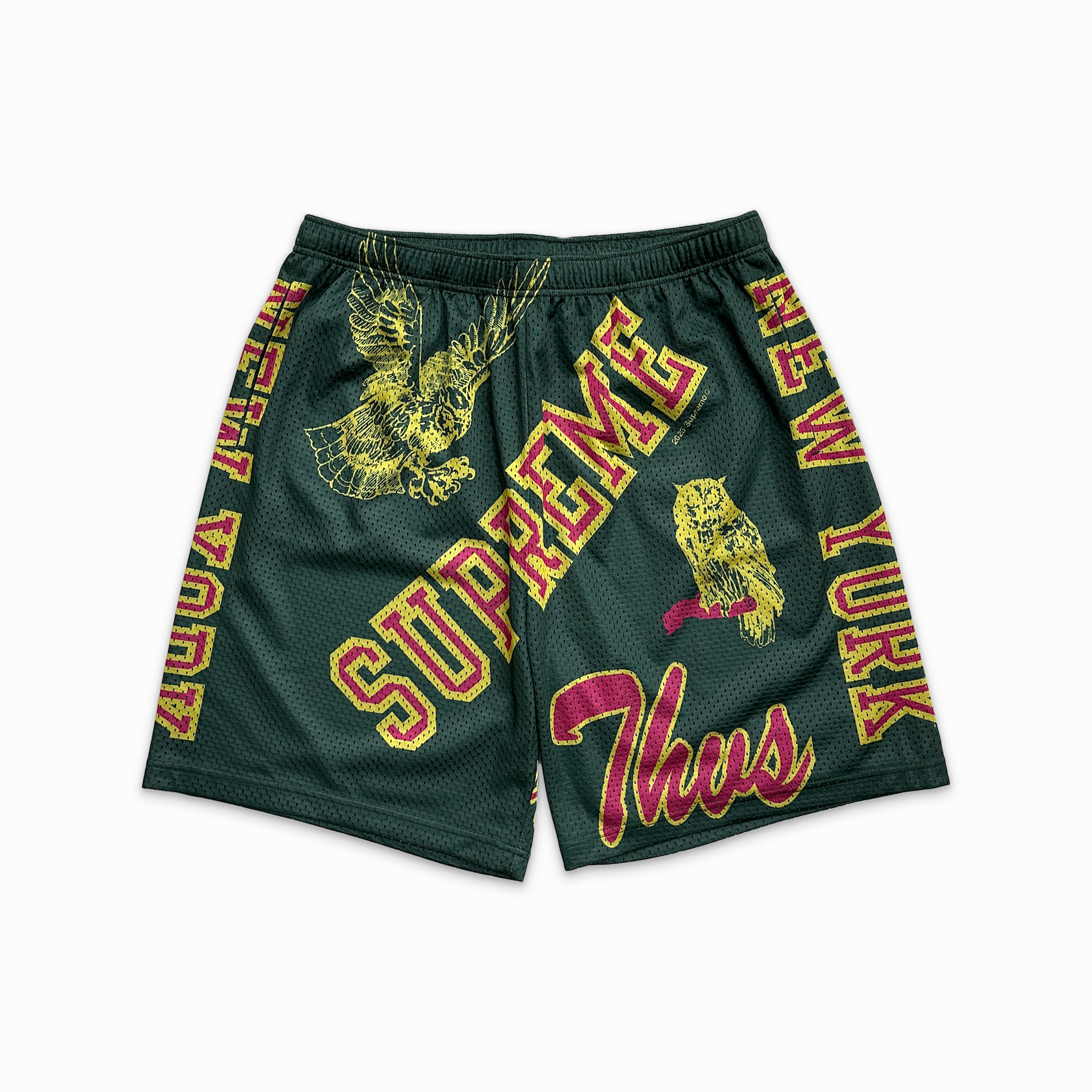 Varsity Mesh Shorts Dark Green