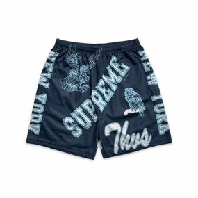 Varsity Mesh Shorts Navy