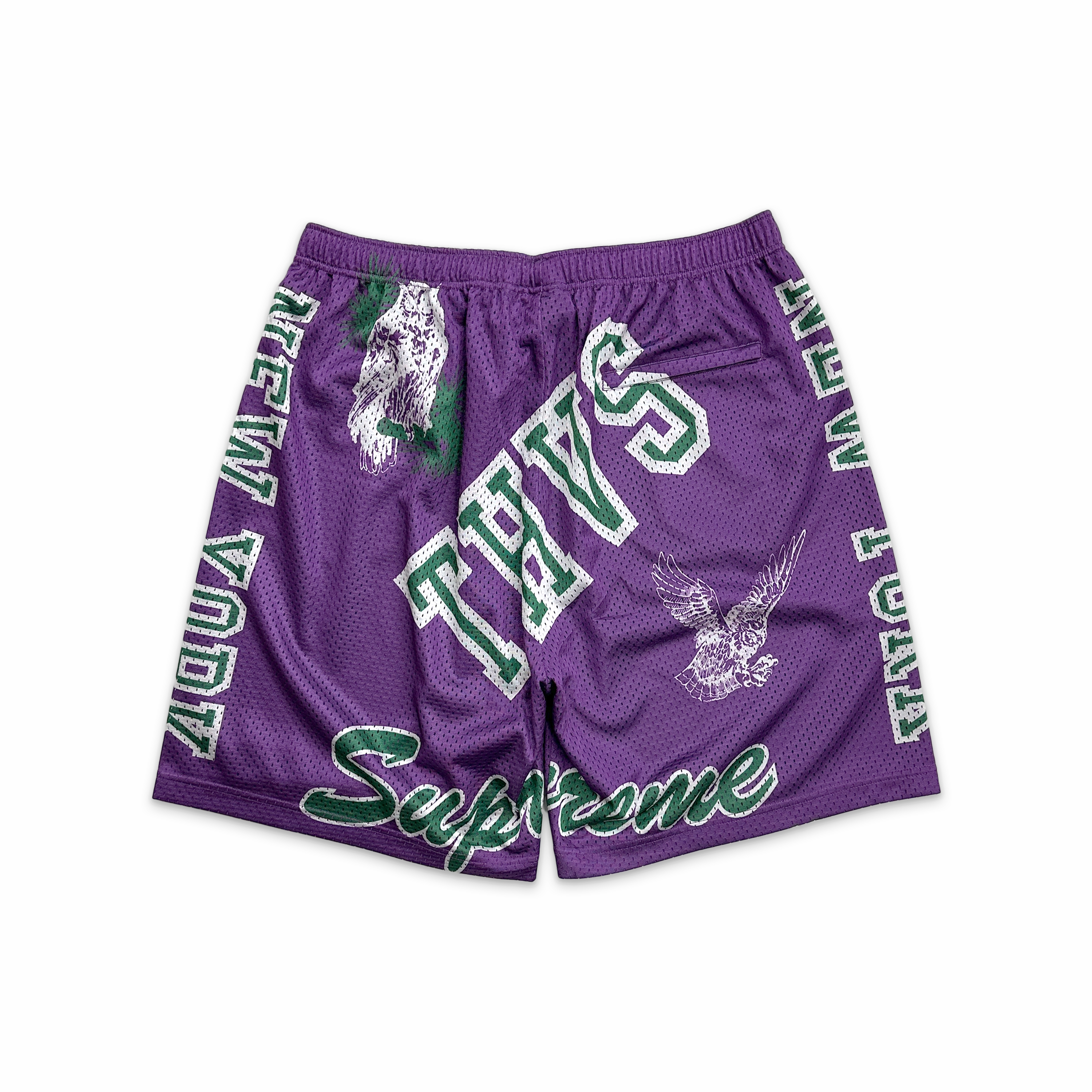 Varsity Mesh Shorts Purple