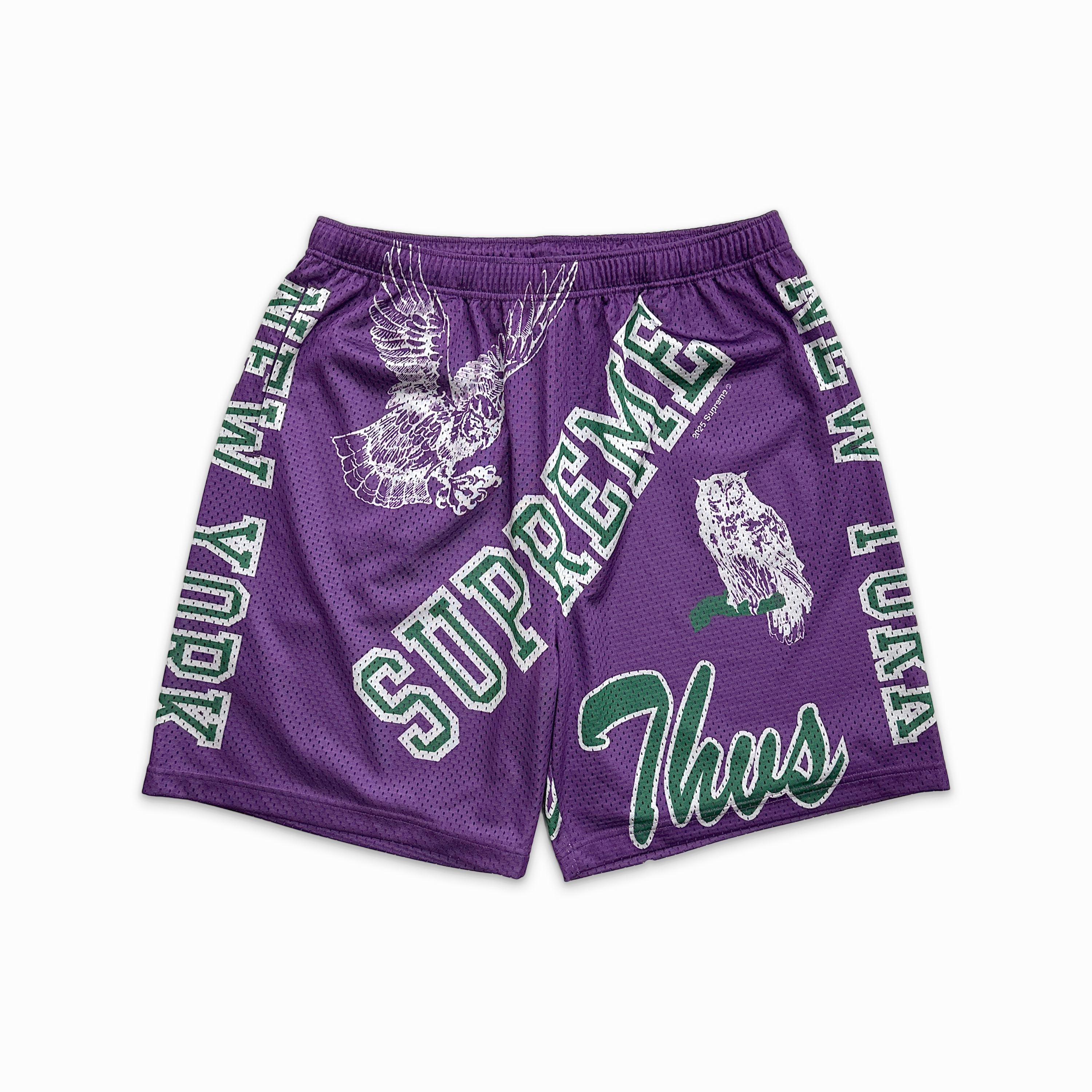 Varsity Mesh Shorts Purple